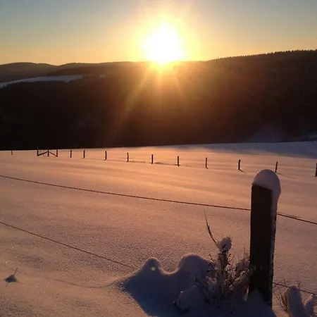 An Den Bergwiesen Winterberg Buitenkant foto